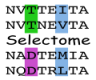 Selectome logo